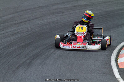 03/06/2017 : 4ème manche du Championnat du Sud à Belmont sur Rance journée du samedi (Photos Nicolas Hidalgo) 2017 — karting