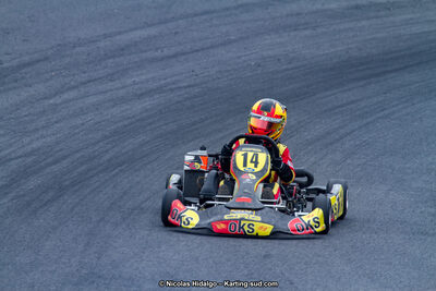 03/06/2017 : 4ème manche du Championnat du Sud à Belmont sur Rance journée du samedi (Photos Nicolas Hidalgo) 2017 — karting