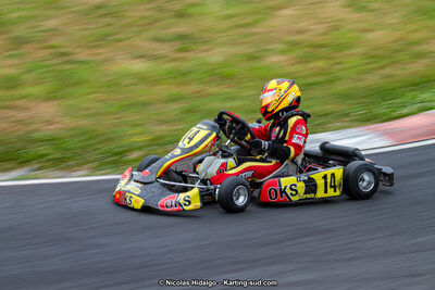 03/06/2017 : 4ème manche du Championnat du Sud à Belmont sur Rance journée du samedi (Photos Nicolas Hidalgo) 2017 — karting