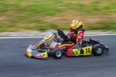 03/06/2017 : 4ème manche du Championnat du Sud à Belmont sur Rance journée du samedi (Photos Nicolas Hidalgo) 2017 — karting