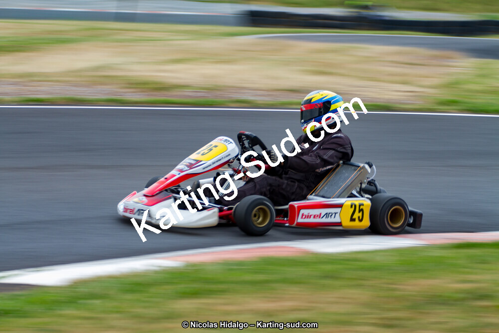 03/06/2017 : 4ème manche du Championnat du Sud à Belmont sur Rance journée du samedi (Photos Nicolas Hidalgo) 2017 — karting