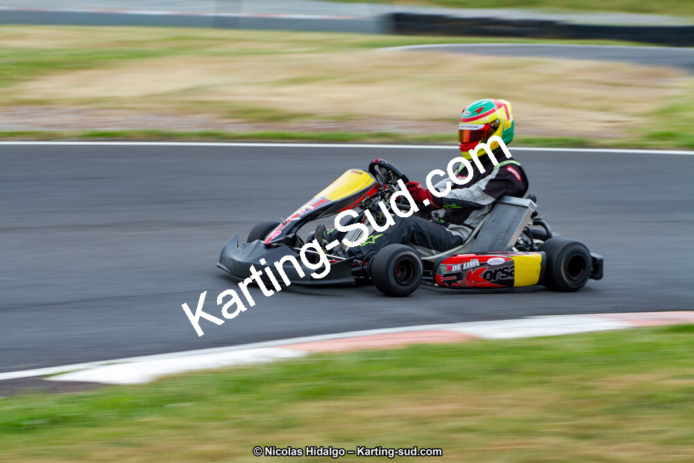 03/06/2017 : 4ème manche du Championnat du Sud à Belmont sur Rance journée du samedi (Photos Nicolas Hidalgo) 2017 — karting