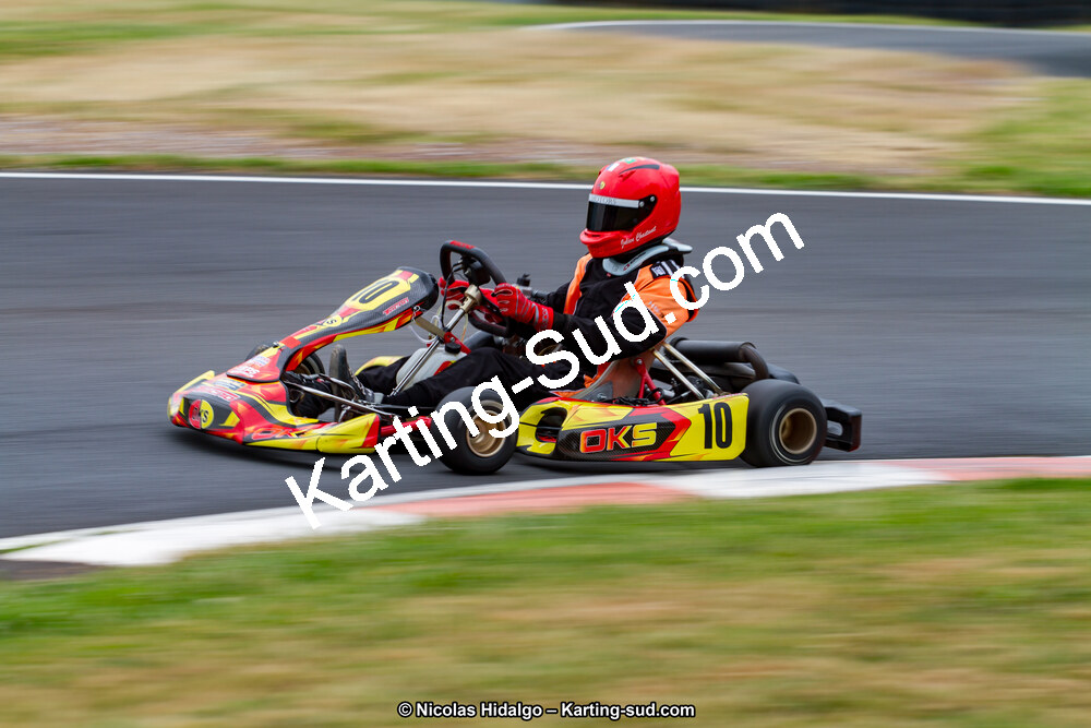 03/06/2017 : 4ème manche du Championnat du Sud à Belmont sur Rance journée du samedi (Photos Nicolas Hidalgo) 2017 — karting