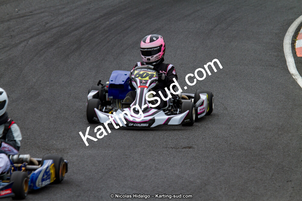 03/06/2017 : 4ème manche du Championnat du Sud à Belmont sur Rance journée du samedi (Photos Nicolas Hidalgo) 2017 — karting