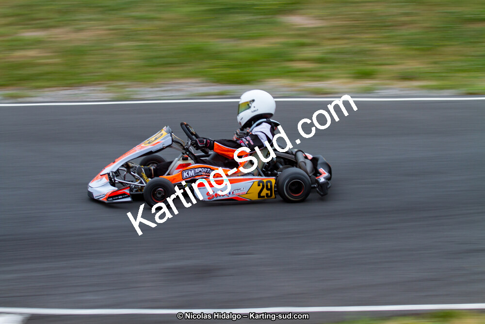 IMG_2391.jpg