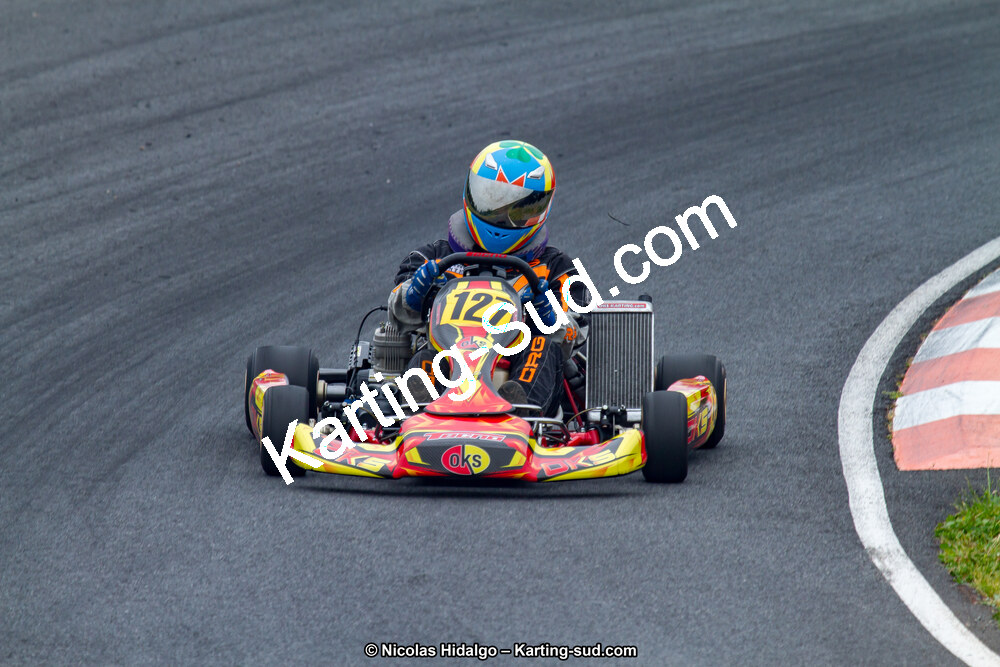 03/06/2017 : 4ème manche du Championnat du Sud à Belmont sur Rance journée du samedi (Photos Nicolas Hidalgo) 2017 — karting