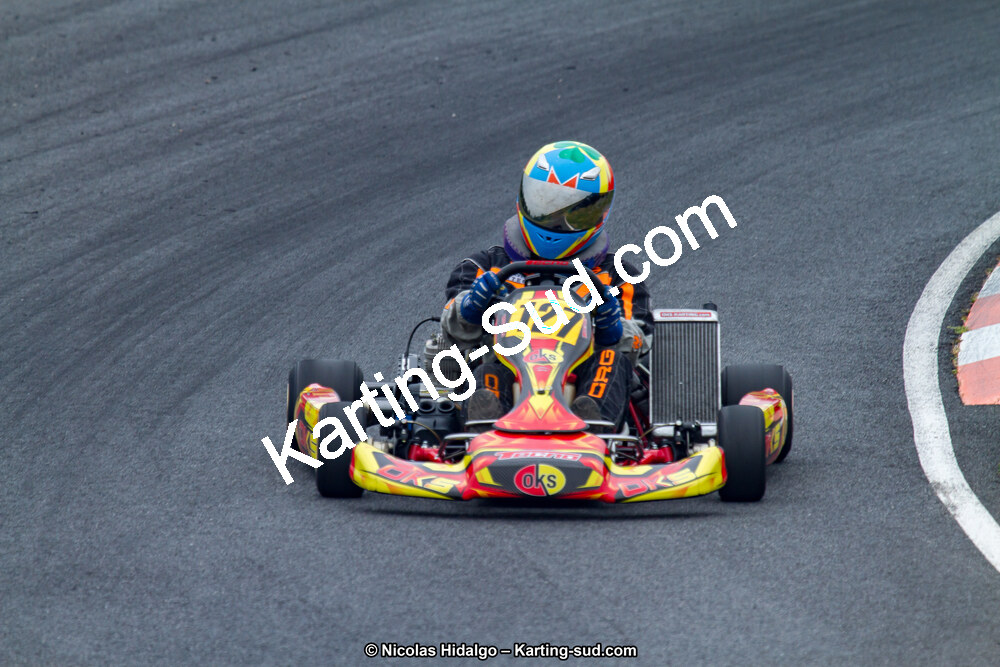 03/06/2017 : 4ème manche du Championnat du Sud à Belmont sur Rance journée du samedi (Photos Nicolas Hidalgo) 2017 — karting
