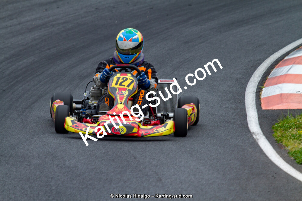 03/06/2017 : 4ème manche du Championnat du Sud à Belmont sur Rance journée du samedi (Photos Nicolas Hidalgo) 2017 — karting