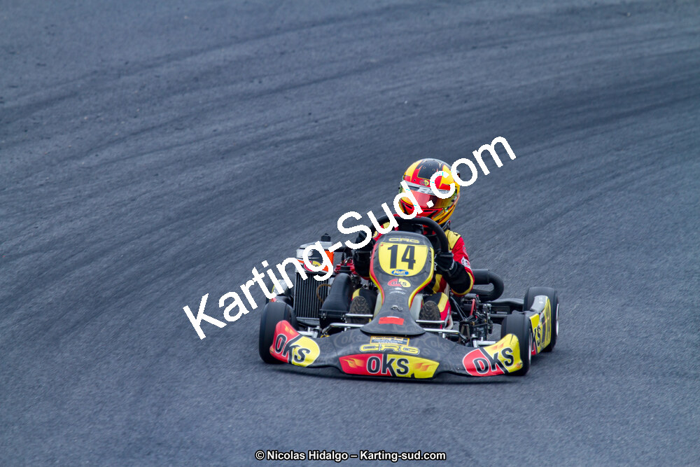 03/06/2017 : 4ème manche du Championnat du Sud à Belmont sur Rance journée du samedi (Photos Nicolas Hidalgo) 2017 — karting