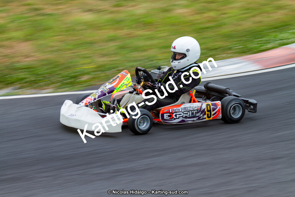 03/06/2017 : 4ème manche du Championnat du Sud à Belmont sur Rance journée du samedi (Photos Nicolas Hidalgo) 2017 — karting