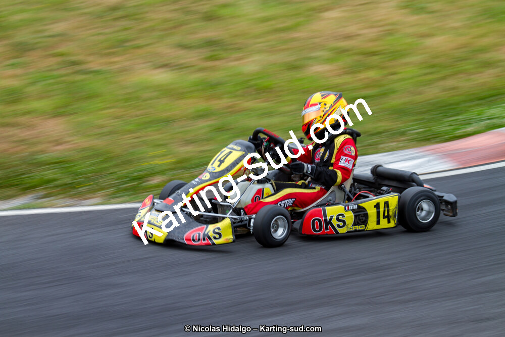 03/06/2017 : 4ème manche du Championnat du Sud à Belmont sur Rance journée du samedi (Photos Nicolas Hidalgo) 2017 — karting
