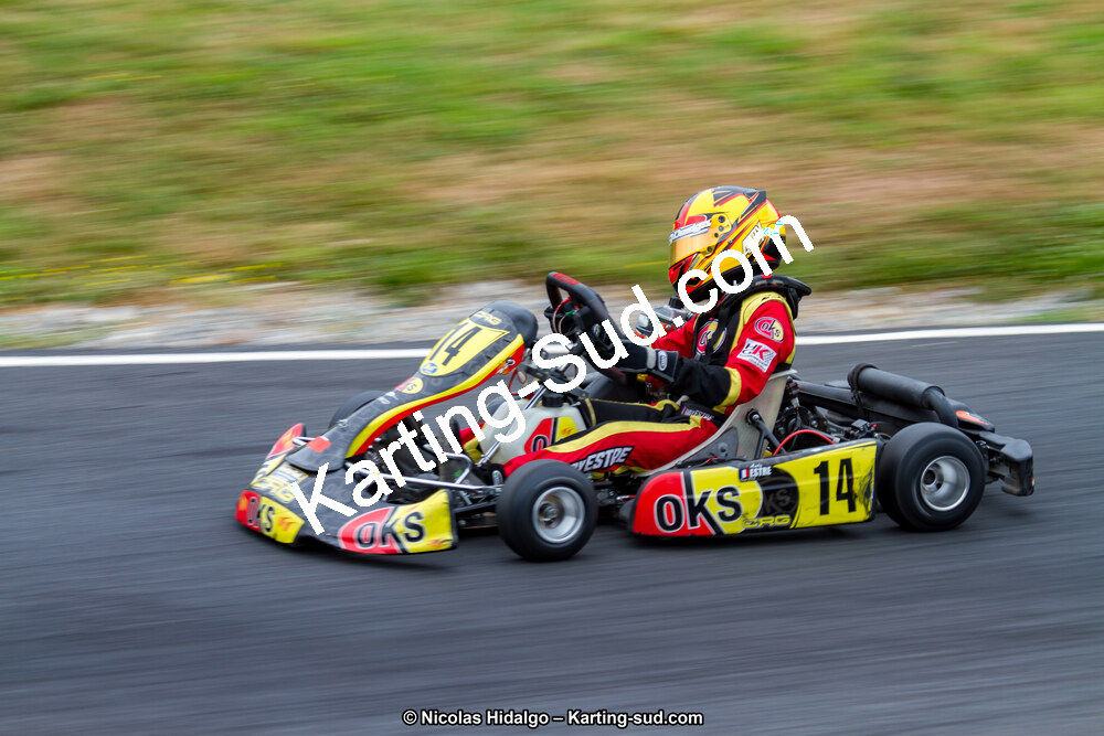 03/06/2017 : 4ème manche du Championnat du Sud à Belmont sur Rance journée du samedi (Photos Nicolas Hidalgo) 2017 — karting