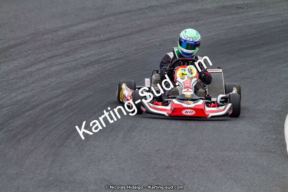 03/06/2017 : 4ème manche du Championnat du Sud à Belmont sur Rance journée du samedi (Photos Nicolas Hidalgo) 2017 — karting