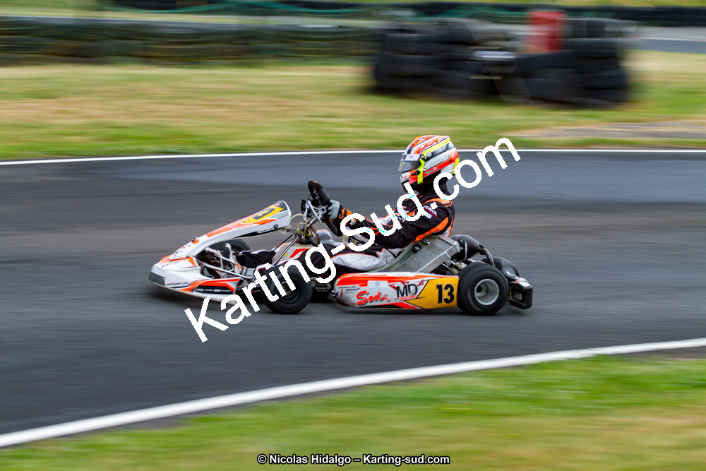 03/06/2017 : 4ème manche du Championnat du Sud à Belmont sur Rance journée du samedi (Photos Nicolas Hidalgo) 2017 — karting