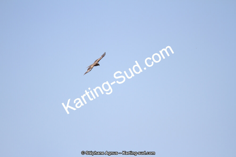 IMG_6332.JPG