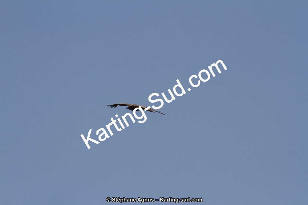 IMG_6345.JPG