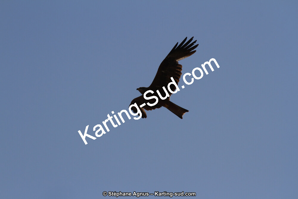 IMG_6353.JPG
