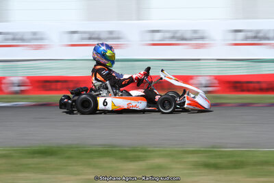 15 & 16/07/2017 : Championnat de France Rotax et Junior, Coupe de France Nationale à Muret (Photos Stéphane Agnus) 2017 — karting