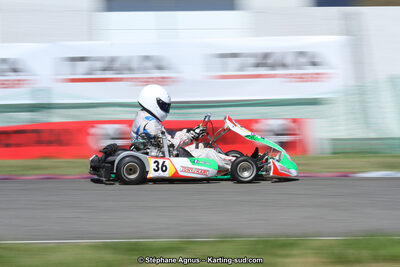 15 & 16/07/2017 : Championnat de France Rotax et Junior, Coupe de France Nationale à Muret (Photos Stéphane Agnus) 2017 — karting