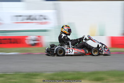15 & 16/07/2017 : Championnat de France Rotax et Junior, Coupe de France Nationale à Muret (Photos Stéphane Agnus) 2017 — karting