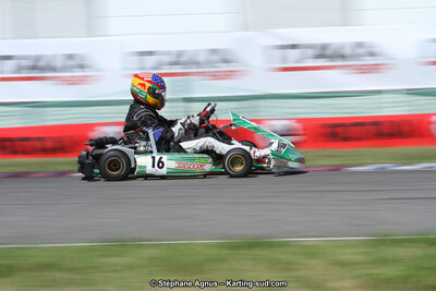 15 & 16/07/2017 : Championnat de France Rotax et Junior, Coupe de France Nationale à Muret (Photos Stéphane Agnus) 2017 — karting