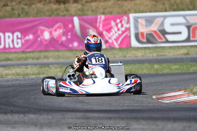 15 & 16/07/2017 : Championnat de France Rotax et Junior, Coupe de France Nationale à Muret (Photos Stéphane Agnus) 2017 — karting
