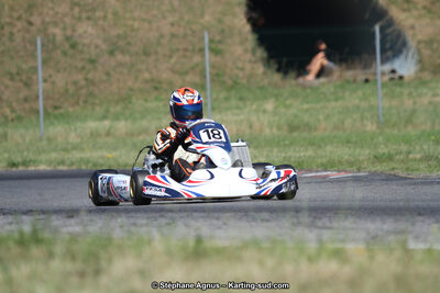 15 & 16/07/2017 : Championnat de France Rotax et Junior, Coupe de France Nationale à Muret (Photos Stéphane Agnus) 2017 — karting