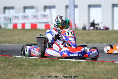 15 & 16/07/2017 : Championnat de France Rotax et Junior, Coupe de France Nationale à Muret (Photos Stéphane Agnus) 2017 — karting