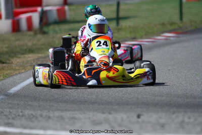 15 & 16/07/2017 : Championnat de France Rotax et Junior, Coupe de France Nationale à Muret (Photos Stéphane Agnus) 2017 — karting