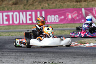 15 & 16/07/2017 : Championnat de France Rotax et Junior, Coupe de France Nationale à Muret (Photos Stéphane Agnus) 2017 — karting
