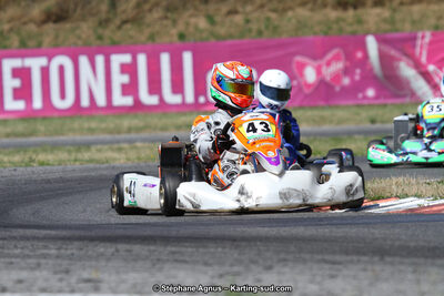 15 & 16/07/2017 : Championnat de France Rotax et Junior, Coupe de France Nationale à Muret (Photos Stéphane Agnus) 2017 — karting