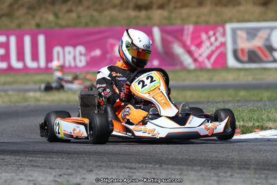 15 & 16/07/2017 : Championnat de France Rotax et Junior, Coupe de France Nationale à Muret (Photos Stéphane Agnus) 2017 — karting