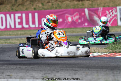15 & 16/07/2017 : Championnat de France Rotax et Junior, Coupe de France Nationale à Muret (Photos Stéphane Agnus) 2017 — karting