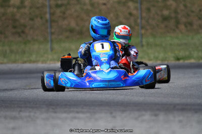 15 & 16/07/2017 : Championnat de France Rotax et Junior, Coupe de France Nationale à Muret (Photos Stéphane Agnus) 2017 — karting