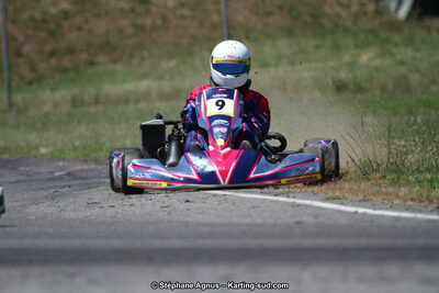 15 & 16/07/2017 : Championnat de France Rotax et Junior, Coupe de France Nationale à Muret (Photos Stéphane Agnus) 2017 — karting