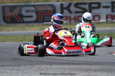 15 & 16/07/2017 : Championnat de France Rotax et Junior, Coupe de France Nationale à Muret (Photos Stéphane Agnus) 2017 — karting