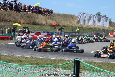 15 & 16/07/2017 : Championnat de France Rotax et Junior, Coupe de France Nationale à Muret (Photos Stéphane Agnus) 2017 — karting