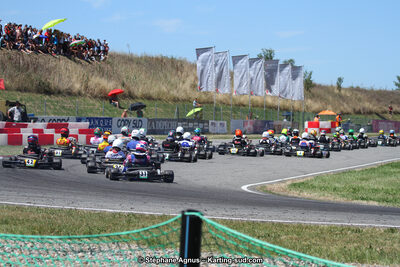 15 & 16/07/2017 : Championnat de France Rotax et Junior, Coupe de France Nationale à Muret (Photos Stéphane Agnus) 2017 — karting