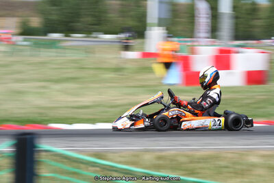 15 & 16/07/2017 : Championnat de France Rotax et Junior, Coupe de France Nationale à Muret (Photos Stéphane Agnus) 2017 — karting