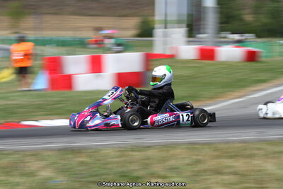 15 & 16/07/2017 : Championnat de France Rotax et Junior, Coupe de France Nationale à Muret (Photos Stéphane Agnus) 2017 — karting