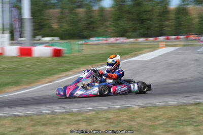 15 & 16/07/2017 : Championnat de France Rotax et Junior, Coupe de France Nationale à Muret (Photos Stéphane Agnus) 2017 — karting