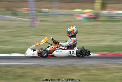15 & 16/07/2017 : Championnat de France Rotax et Junior, Coupe de France Nationale à Muret (Photos Stéphane Agnus) 2017 — karting