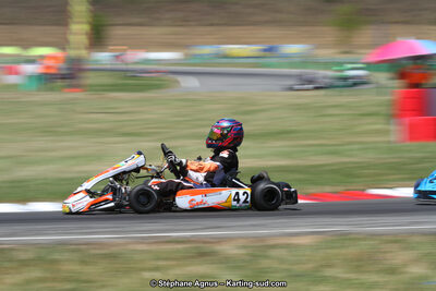 15 & 16/07/2017 : Championnat de France Rotax et Junior, Coupe de France Nationale à Muret (Photos Stéphane Agnus) 2017 — karting