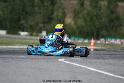 15 & 16/07/2017 : Championnat de France Rotax et Junior, Coupe de France Nationale à Muret (Photos Stéphane Agnus) 2017 — karting