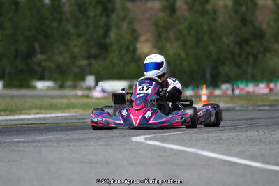 15 & 16/07/2017 : Championnat de France Rotax et Junior, Coupe de France Nationale à Muret (Photos Stéphane Agnus) 2017 — karting