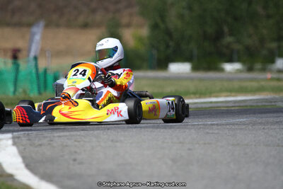 15 & 16/07/2017 : Championnat de France Rotax et Junior, Coupe de France Nationale à Muret (Photos Stéphane Agnus) 2017 — karting