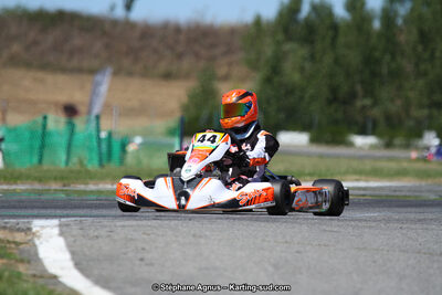 15 & 16/07/2017 : Championnat de France Rotax et Junior, Coupe de France Nationale à Muret (Photos Stéphane Agnus) 2017 — karting
