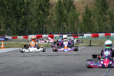 15 & 16/07/2017 : Championnat de France Rotax et Junior, Coupe de France Nationale à Muret (Photos Stéphane Agnus) 2017 — karting