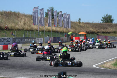 15 & 16/07/2017 : Championnat de France Rotax et Junior, Coupe de France Nationale à Muret (Photos Stéphane Agnus) 2017 — karting
