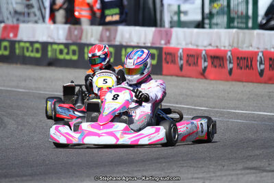 15 & 16/07/2017 : Championnat de France Rotax et Junior, Coupe de France Nationale à Muret (Photos Stéphane Agnus) 2017 — karting